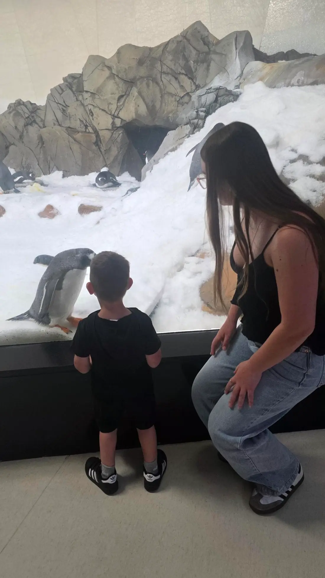 NDIS participants watching penguins on a community access outing in Adelaide